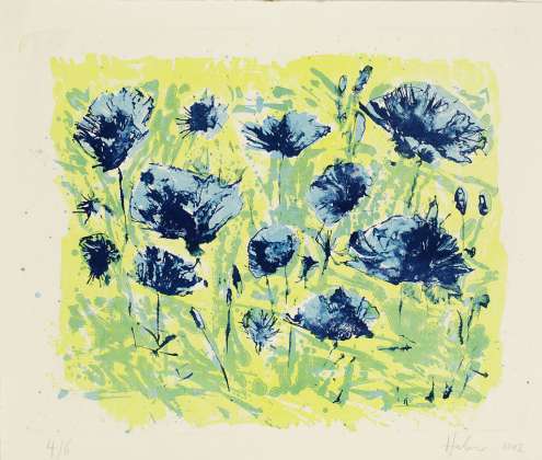 Kornblumen